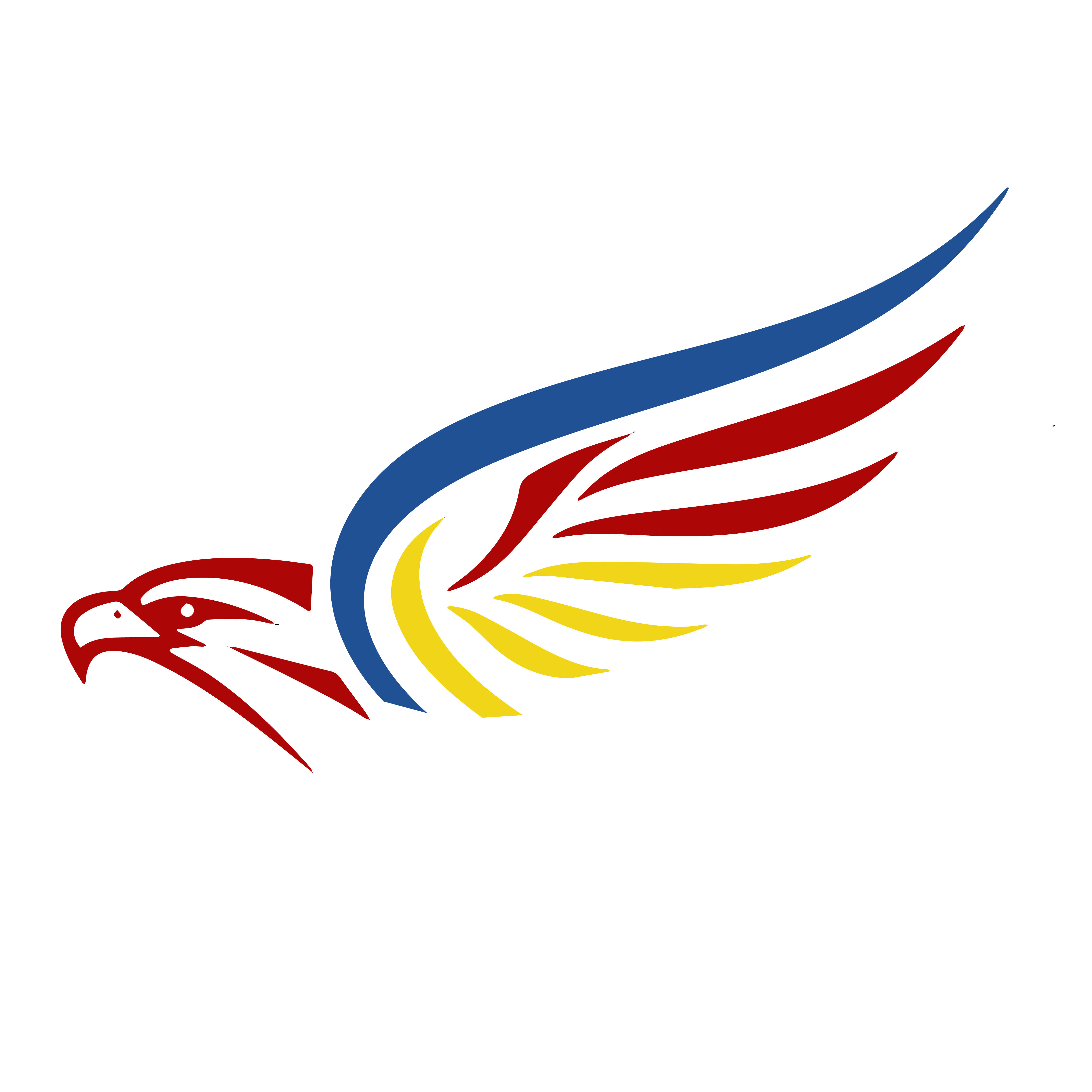Data Room Logo